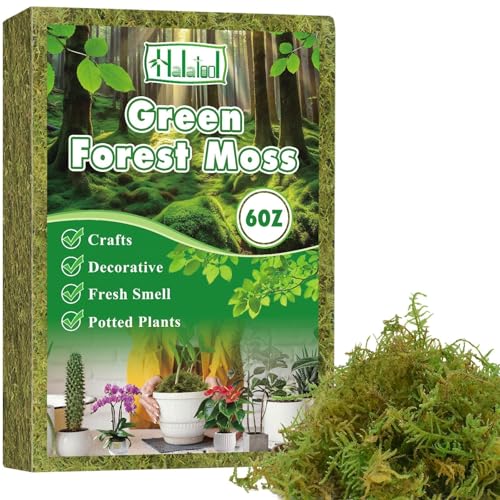 Halatool 6OZ Green Moss for Indroor Plants, 8QT Orchid Moss for Repotting - size: 6 oz