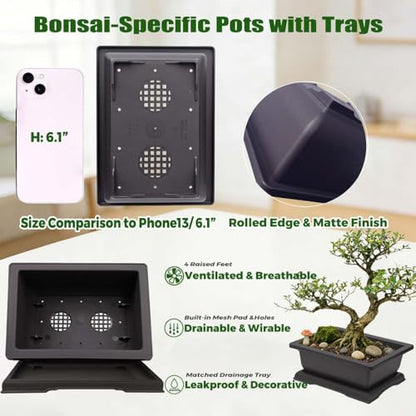 MUZHI 3PCS Retro Style Rectangular Garden Pots Bonsai Planters Pot with Tray Mocha Plastic Plant Pot with Pallet (3PCS Rect 7.5") - size: 3PCS Rect 7.5"
