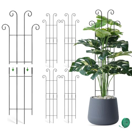 Coomin 32.6in Monstera Plant Support, Plant Trellis Indoor 4P - size: 32.6in/4p