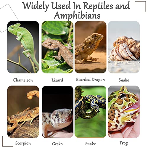 Hamiledyi Fake Reptile Plants for Terrarium Bendable Snake Climbing Vine - size: 3 PCS - Style 1