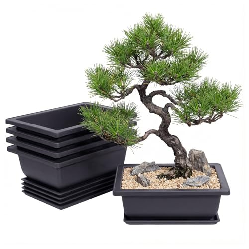 Plastic Bonsai Tree Pots (Rectangle, 5pcs-6.5") | Bonsai pots with Humidity Tray and Drainage, suitable for growing potted plants in both indoor and outdoor gardens - size: 5pcs-6.5", style: Rectangle