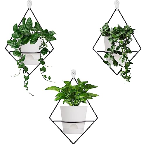Koalaime 3 Sets Wall Planters for Indoor Plants Geometric Hanging Planters for Indoor Plants - Self-Watering Flower Pots with Black Metal Holder, Mounted Succulent Planter, 5" Black Plant Pot - color: White