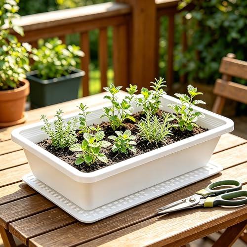 5Pcs/Set Seed Starter Trays, Microgreens Growing Tray with Mesh Bottom for Germination, Hydroponic & Sprouting Plant Trays for Garden, Wheatgrass (White, 18x13x6.5cm) - color: White