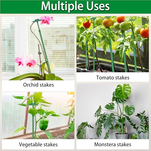 Extendable Plant Stakes,Length Scalable From17.9to42.3IN Plant SupportStake | 3Pack Orchid Sticks with Clips for Indoor Outdoor,Garden Stakes for Plant, Tomato, Vegetables, Monstera, Vine,Potted Plants - size: 42.3Inches 3Pack