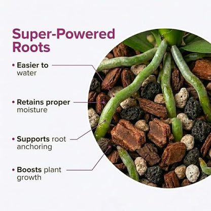 Molly's Orchid Potting Mix Chunky Soil-Free for Indoor Orchids 3 Dry Quarts - size: 3 Dry Quarts, style: Orchids