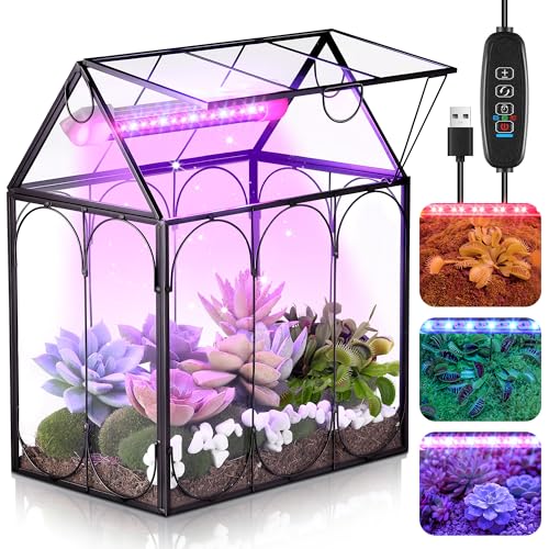Mini Glass Venus Fly Trap Terrarium with Grow Light 7.1"x 4.7"x 8.7" | For Venus fly traps succulents and moss, USB 5W grow light with timer, Clear glass copper frame, Desktop home office decor - size: 7.1"X 4.7"X 8.7"