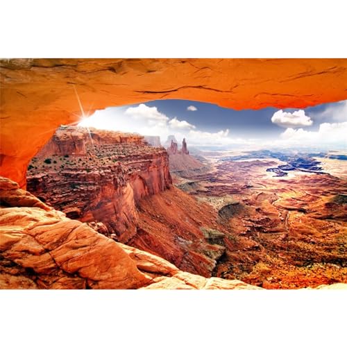 AWERT Stone Reptile Habitat Background Sky Oasis Mountain Cactus Sun and Desert Terrarium Background 36x24 inches Polyester Background - size: 36x24in/90x60cm