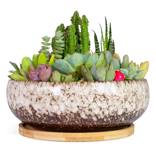 ARTKETTY Bonsai Pots, 7.5 Inch Large Plant Pots with Bamboo Tray - color: White
