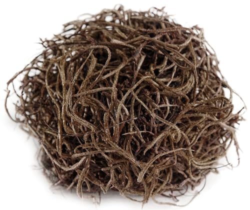 SuperMoss (26956) Preserved Spanish Moss – Decorative Moss for Crafts, Potted Plants, Fairy Gardens, Vase Filler, Floral Arrangements & Indoor/Outdoor Garden Projects, 120 cu in, Coffee