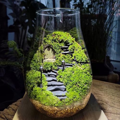 Natural Rocks Slate Stone 1-2.5 Inches Decorative Stones for Miniature Landscaping,Fairy Gardens,Bonsai,DIY Crafts,Aquariums & Reptile Terrariums-1lb - size: 1lb(1-2.5Inch)