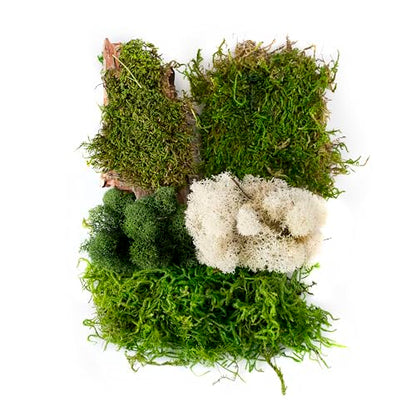 SuperMoss Moss Mix, Delaware - color: Delaware, size: 80.75 cu in