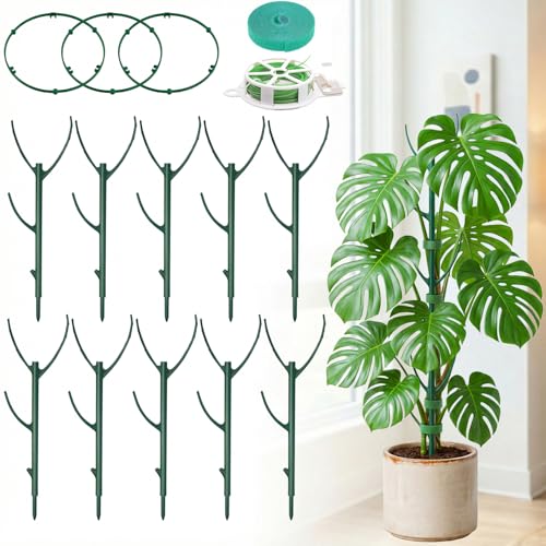 10-Pack Monstera Plant Support Stakes - Stackable Sticks