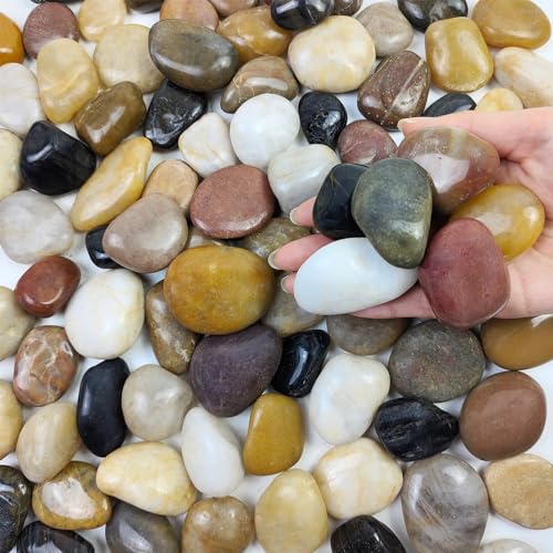 FANTIAN 2 lbs Pebbles for Indoo Plants, 1-2 Inch Polished River Rocks - size: 1-2 Inch, style: 2 Pounds