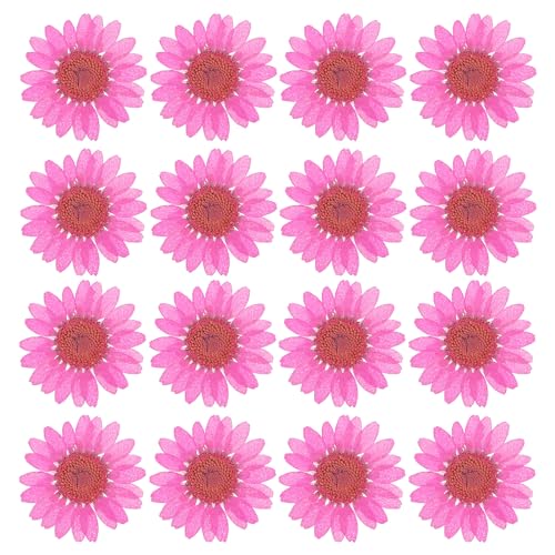 PATIKIL 48 Pcs Dried Pressed Flower Natural Dried Daisy Flower for DIY Art Crafts House Decoration Nails Decoration,Rose Red - color: Rose Red