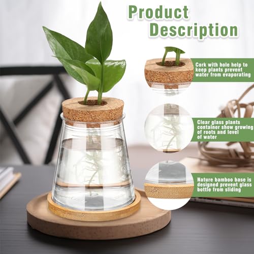 12 Packs Propagation Vases for Plants Plastic Plant Propagation with Hole Lid and Bamboo Stand Growing in Water Hydroponic Home Office Desktop Vase Decoration (Cute Style) - style: Cute Style