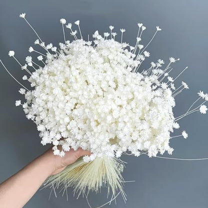 300 PCS Dried Flowers Brazilian White Small Starflower Flowers Mini Dried Flower Bouquet Daisies Mini Chamomile Flower Bouquet for Flower Arrangement Wedding (Snow-White) - color: Snow-white