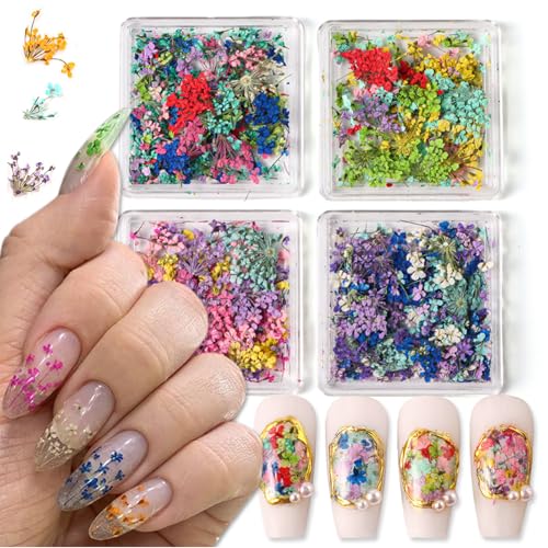 4 Boxes 3D Dried Flowers Nail Art Stickers Mini Dried Flower Nail Stickers Mixed Colors Dried Gypsophila Flowers Natural Floral Dried Flower Decals for Women Girls Nail Decorations DIY Craft