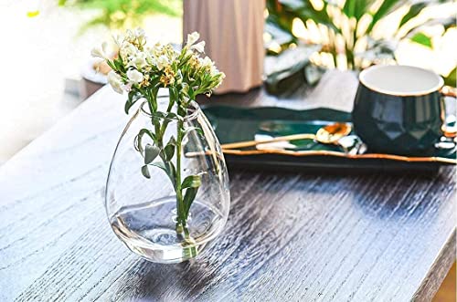 Kingbuy Wall Hanging Glass Planter Flower Vase Plant Propagation Station for Hydroponic Plants Home Office Garden Decor - 2 Egg Shape Plant Terrarium and 4 Square Shape Vase