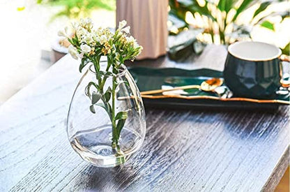 Kingbuy Wall Hanging Glass Planter Flower Vase Plant Propagation Station for Hydroponic Plants Home Office Garden Decor - 2 Egg Shape Plant Terrarium and 4 Square Shape Vase