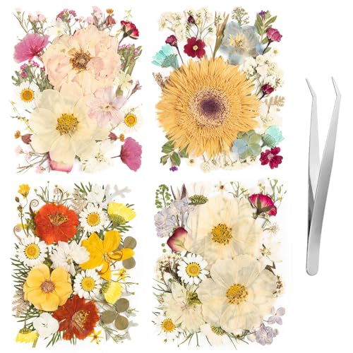 140pcs Dried Pressed Flowers Bulk, Natural Fall Pressed Dried Flowers with Tweezer for DIY Crafts Resin Mold Candles Cake Bridal Scrapbooking Supplies - size: Elegant 140pcs