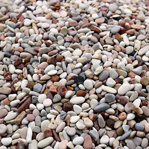 Earth Color Rocks for Plants & Planters, Decorative Pebbles, 1/5", 10 lb - color: MIXED COLOR - EARTH TONES, size: Mini (0.2 Inch)