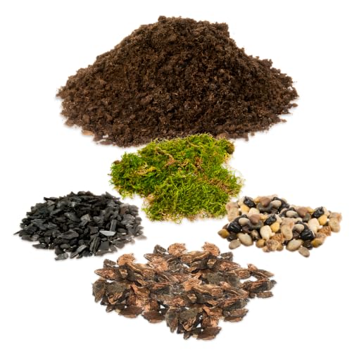 DIY Terrarium Kit for Succulents & Air Plants, Terrarium Starter Kit with Organic Soil, Orchid Bark, Horticultural Charcoal, Pea Gravel & Preserved Moss for Fairy Gardens & Mini Terrariums (Small)