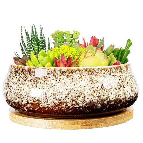 ARTKETTY Bonsai Pots, 8 Inch Large Succulent Pots with Drainage Tray | Ceramic Pots for Indoor Plants, Round Shallow Cactus Flower Plant Container Bowl Decorative Home Garden - color: White