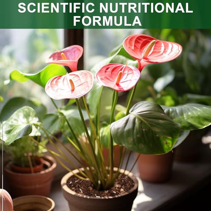 Doter All-Natural Potting Soil for Anthurium & Indoor Plants 4qt - Enhanced Drainage, No Additives | Premium Indoor Plant Soil Mix - size: 4qt