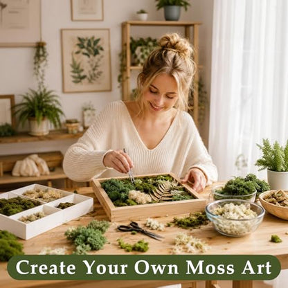 Preserved Reindeer Moss Mix, Natural Green, 1.1 lb | for Wall Art and Crafts