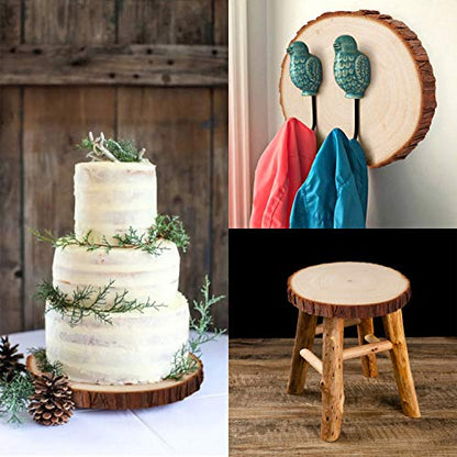 Fuyit Large Unfinished Wood Slices, Natural Wooden Discs with Barks | 6pcs 6-6.3 inch Rounds, Rustic Centerpiece Base, Wedding & Table decor, Painting & Lettering DIY Crafts - size: 6-6.3 Inches