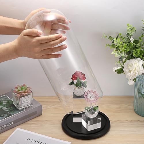 JUXYES 13.8 Inches Glass Display Dome Cloche with Black Wood Base, Clear Glass Dome Cloche Bell Terrarium Jar Glass Cloche Bell Jar Display for Plants Collectible Figure, 15x35cm