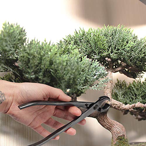 BambooMN Bonsai 8" Knob Cutter Tool - 1 Piece - color: 8" Knob Cutter, size: 1