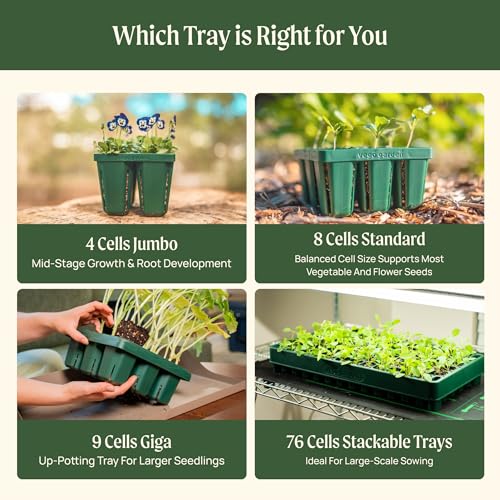 Vego garden Standard Seedling Trays Without Lids, 64 Pack for Seedlings Reusable Propagator Growing Starter Tray, Germination Trays Kit for Greenhouse/Garden (8-Cell per Tray) - size: 64 Packs, style: 8 Cells Standard Size