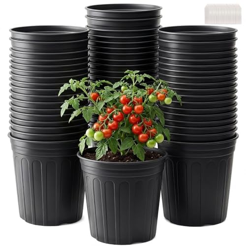 50 Pack 2 Gallon Flexible Plant Nursery Pots for Plants with Drainage Holes | Flexible, lightweight plastic construction; compact growing space for seedlings, herbs, succulents, and young flowers - size: 2 Gallon