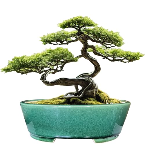 MUZHI 2pcs Green Ceramic Bonsai Planter Pots with Bamboo Tray 6.2 “ & 5.3”, Rectangular Glazed Bonsai & Succulent Cactus Starter Pot with Drainage Ice Crack Design (Crackle Glazed 9") - size: Crackle Glazed 9"