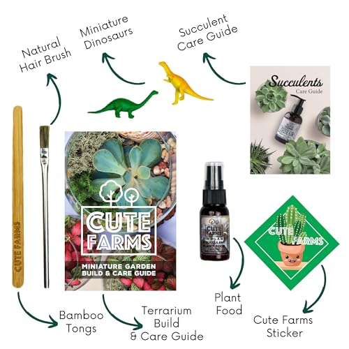 Cute Farms Glass Terrarium Kit | Just Add Your Own Plants (Geometric Glass + Live Plants) - style: Geometric Glass + Live Plants