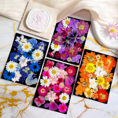 133Pcs Dried Pressed Flowers and Butterfly for Resin Molds, Assorted Real Natural Flowers Leaves Stickers for DIY Art Crafts, Jewelry, Candle, Soap Crafts Making - size: 133PCS