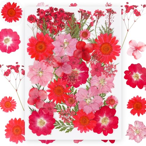 37Pcs Red Dried Pressed Flowers Natural Dried Flowers for Resin,Real Pressed Flowers for Crafts,Dry Flowers for Resin Molds DIY Scrapbookin Candle Jewellery Making - color: 37pcs Red