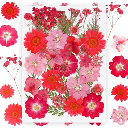 37Pcs Red Dried Pressed Flowers Natural Dried Flowers for Resin,Real Pressed Flowers for Crafts,Dry Flowers for Resin Molds DIY Scrapbookin Candle Jewellery Making - color: 37pcs Red