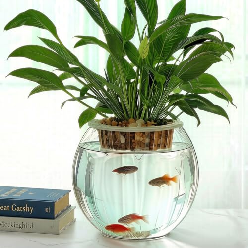 CYS EXCEL Large Glass Bubble Bowl (H-12 W-13, Approx. 5.3 Gal.) Round Bowl Terrarium Globe Flower Vase Centerpiece for Weddings Events Arrangements - size: H-12" W-13"