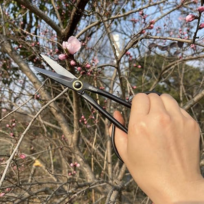 8 Inch Full-Steel Forged, Bonsai Small Branch Shears for Delicate Shoots and Leaves