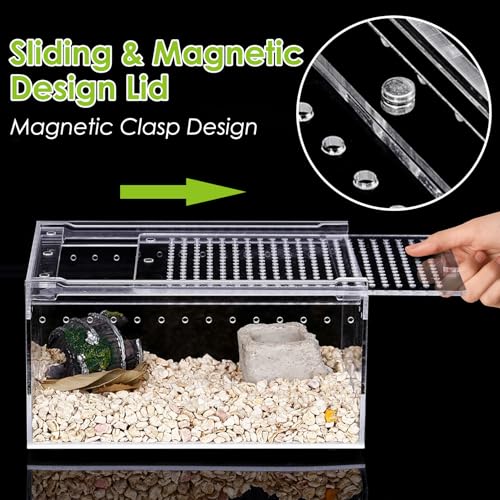 Reptile Cork Bark with Reptile Terrarium Acrylic Tarantula Breeding Box Magnetic Hermit Crab Habitat Tank Transparent Jumping Spider Cage for Insect Snail Amphibians Sling Isopods