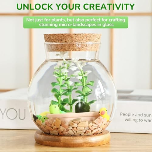 Plant Propagation Station, Hydroponic Glass Container Vase Jars, with Saucer for Desks, Houses, Garden Decorations, Home Kitchen Decorations and Gifts for Plant Lovers