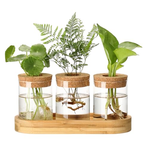 Plant Propagation Stations,3 Pcs Glass Vases with Wooden Stand &Lid - size: 8.7"L x 3.5"W x 4.7"H