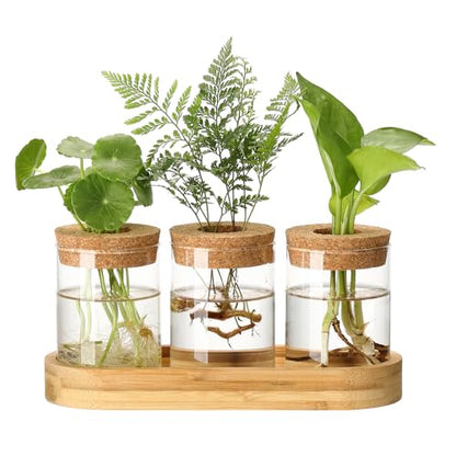 Plant Propagation Stations,3 Pcs Glass Vases with Wooden Stand &Lid - size: 8.7"L x 3.5"W x 4.7"H