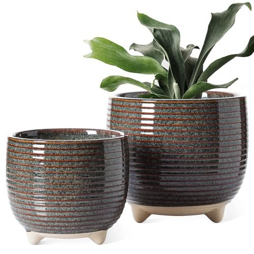 LE TAUCI Ceramic Plant Pots, 5.1 + 6.4 Inch Footed Pots for Plants, Modern Flower Pots for Home and Office, Indoor Planters with Drainage, Reactive Glaze Black - color: Reactive Glaze Black