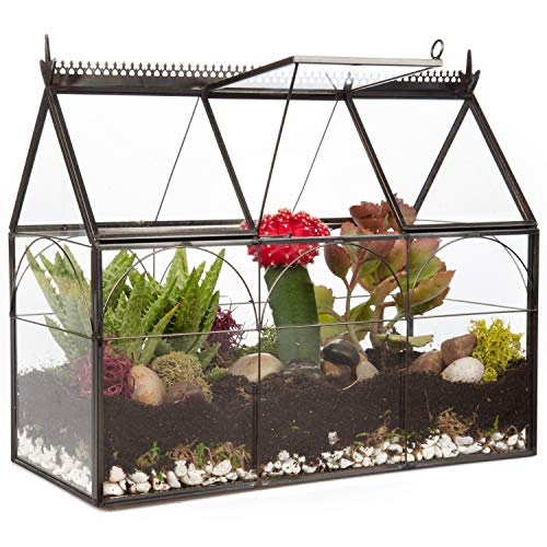 D'Eco Glass Greenhouse Plant Terrarium, Centerpiece & Wedding Letterbox | Tabletop Geometric Planter Terrarium, Dims 10x4.5x9", Fill with Succulents, Moss, Air Plants, Ferns & Seasonal Home Decor - size: Greenhouse