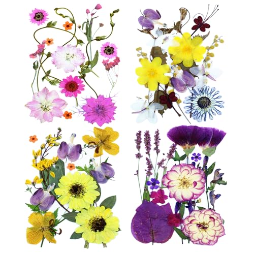 Dried Pressed Flowers for Crafts Resin DIY Art 60pcs Natural Dry Floral Colorful Epoxy Jewelry Real Rose Decor Cakes Bookmarks Phone Cases Candles Handmade Soap Papermaking