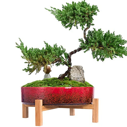ARTKETTY Succulent Pots - 11 Inch Large Bonsai Pots with Drainage - color: 11" Red
