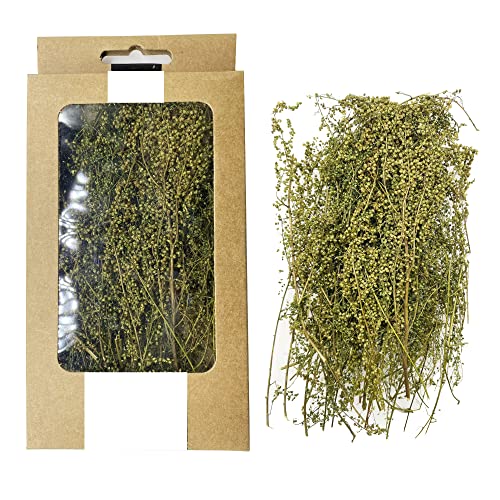 Cayway Miniature Shrubs Model Bushes Long Shrub Vegetation Groups Static Grass Tuft for DIY Model Train Landscape Railroad Scenery, Green - color: Pale yellow